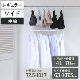 ハンガー 収納アップブランコハンガー 伸縮式 クローゼット レギュラー ワイド （ ブランコハンガー 2段 吊り下げ 収納アップハンガー クローゼット収納 収納アップ 省スペース 収納 衣類収納 大容量 ）