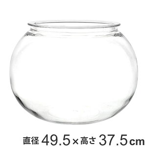 ԕr ȂKX PV` a49.5×37.5cm i Ԃт Ԋ t[x[X ^    Ȃ |J[{l[g v NA  A Aؔ  O[ ^ CeA 