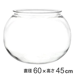 ԕr ȂKX PV` a60×45cm i Ԃт Ԋ t[x[X ^    Ȃ |J[{l[g v NA  A Aؔ  O[ ^ CeA 