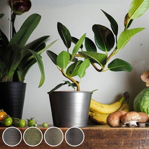 v^[ MC~|bg a12×9.5cm ACA i Aؔ vg|bg Ap|bg ԕr Ԃт Ԋ Jo[ |bg  ~  X^h u A  ϗtA A T{