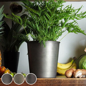 v^[ MC~|bg a17×17cm ACA i Aؔ vg|bg Ap|bg ԕr Ԃт Ԋ Jo[ |bg  ~  X^h u A  ϗtA A T{