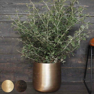 Aؔ AM8x[X A~ a30×31cm i  vg|bg Ap|bg Ԋ Jo[ |bg ԕr  AؔJo[ vX`bN A  ϗtA | CeA ꌊȂ y