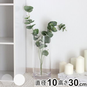 ԕr ȂKX PVV_[ a10×30cm i Ԃт Ԋ V_[ t[x[X  Ȃ x[X t[   ~ ~ |J[{l[g v LjX^[ NA 