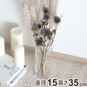 ԕr ȂKX PVV_[ a15×35cm i Ԃт Ԋ V_[ t[x[X  Ȃ ~ ~ |J[{l[g LjX^[ NA  A ؉ tFCN O[