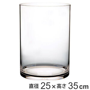花瓶 PVシリンダー 直径25×高さ35cm ポリカーボネイト ( 送料無料 花びん 花器 フラワーベース 透明 割れない 丸 鉢 植木鉢 円筒 円柱 ポリカーボネート プラ クリア 花 植物 切花 花束 インテ