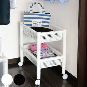 S 29×s45×48.7cm pCvnK[S N[[bg[ i [S 2i LX^[ pCvnK[ LX^[t [bN [ bN oXPbg  JS [oX