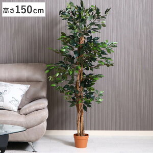 tFCNO[ tBJX 150cm i ϗtA tFCN lHϗtA     6Ή sv lHA O[  CeA lH A ͂Ȃ j