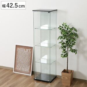 RNVP[X 4i 42.5cm 4ʃKX V[P[X i fBXvCP[X KX KXP[X [ Lrlbg KXLrlbg fBXvCbN I fBXvC K