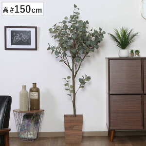 tFCNO[ [J 150cm WCg i lHϗtA ^   lH ϗtA A[gO[ sv ȒP A tFCN   rO  Ce