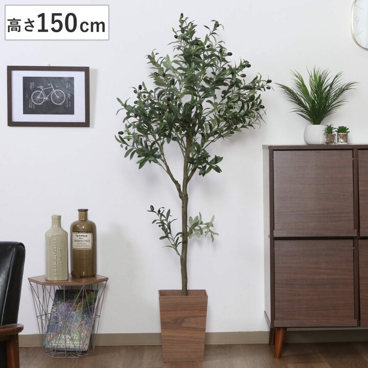 楽天市場】フェイクグリーン オリーブ 高さ150cm ジョイント式 （ 人工 