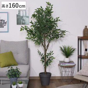 tFCNO[ tBJX 160cm WCg i lHϗtA ^   lH ϗtA A[gO[ sv ȒP A tFCN   rO  Ce