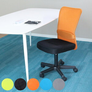 fXN`FA ʍ43`54cm ItBX`FA bV  ֎q LX^[`FA o[T|[g i `FA p\R`FA wK֎q [N`FA bV`FA wK`FA PC`