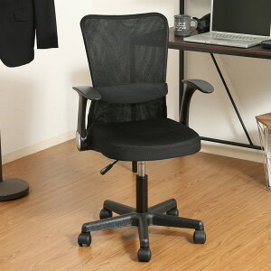 fXN`FA ʍ43`54cm A[Abv o[T|[g Ђ| ItBX`FA bV  i `FA p\R`FA wK֎q bV`FA wK`FA PC`FA It 