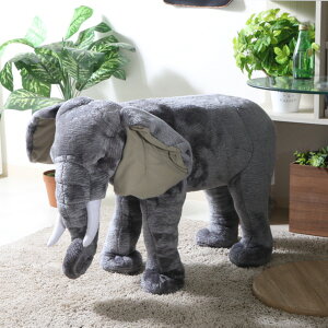 Aj}Xc[ ]E Xc[  ֎q LbY CX `FA Ibg}  i Aj}`FA |  `FA[ Aj} ǂԂ rO  qǂ q 킢  