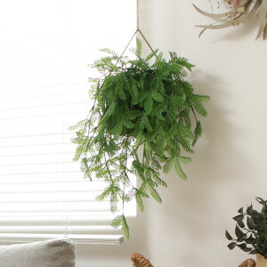 tFCNO[ ~U nMO ݂艺 i lHϗtA  ϗtA ݂邷 Ǌ| A[gO[ sv A tFCN ȒP rO  nMOO[ C