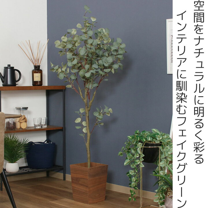 楽天市場】フェイクグリーン ユーカリ 高さ150cm ジョイント式 （ 人工 
