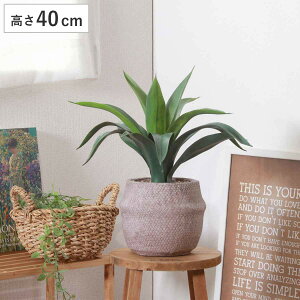 tFCNO[ AKx 40cm Zg|bg i ϗtA tFCN lHϗtA  A A A[gO[ sv ȒP rO  CeA O[ ͂