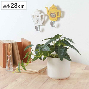 tFCNO[ AJVA 28cm Z~bN|bg i ϗtA tFCN lHϗtA  A A A[gO[ sv ȒP rO  CeA O[ 