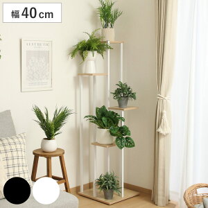 fBXvCbN 40cm 5i Ki^Cv t[X^h i fBXvC bN VFt I I X^h ԑ ϐ ϔM [ TChe[u Ƌ ubN zCg j