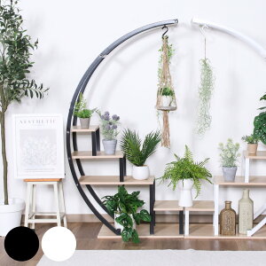 fBXvCbN A[`^ 80cm v^[bN i fBXvC bN VFt I I A[` tbNt ԑ ϗtA ݂艺 [ Ƌ Y Vbv zCg ubN j