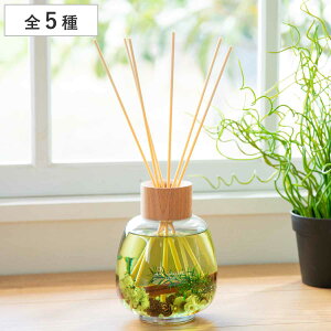 [hfBt[U[ B-nature r[lC`[ 530ml i fBt[U[ A}fBt[U[ KX F  XeBbN n[oE [tOX A} tOX  