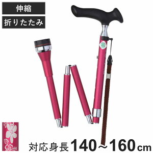  邪 XebL [^[ ܂肽   i 5iK ܂ RpNg Ռz  cG A~ ԕ Oo U ɂ オ₷ オ⏕ ]