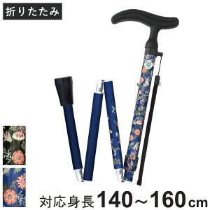  ANeBuO[X ܂肽 y XebL    i 10iK  A~ A~ SG}[N Oo U ɂ オ₷ オ⏕ ]|h~ 