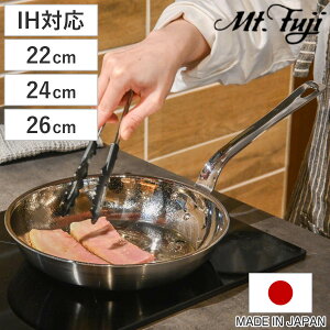 tCp 22`26cm IHΉ A~NbhOw ̓ { i KXΑΉ A~ XeX y Y 3w\ ~[dグ y M` El d {i j