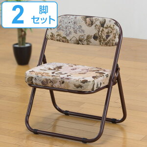 ֎q 2rZbg ܂肽 X`[`FA ʍ31cm Su i  ܂肽݈֎q w CX ֎q `FA Su y y ܂肽߂   [ NbV