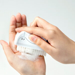 nhuV iC {QQ { i 􂢃uV lCuV qpi  w  c  HX ~[  ܂̊ ӂ gȂݗpi n[h  j