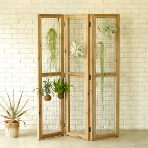 XN[ 3A 167cm ؐ X`[ i ՗ p[e[V Ԏd؂ bVXN[  ډB p[eBV  ܂肽  d؂ ϗtA fBXvC 