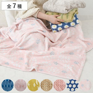 uPbg Lampo 100×140cm }CNtl @OK i Ђ G| | tl h ΍ | 100×140 ł ^ [΍ k lCr[ sN CG[ 