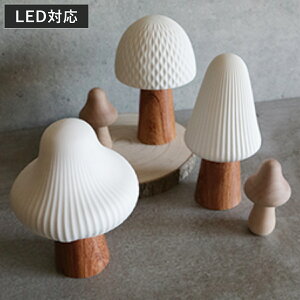 e[uCg Lumo LEDt Z~bN }bV[ i ^C}[@\t CeA Cg Ɩ  LED R[hX dr u^  ̂ RpNg  킢  k