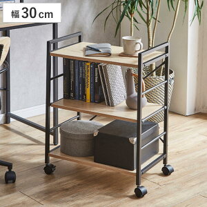 S 69cm 3i ؐ ACA i J[g LX^[t [ bN I Öؕ I[vbN TChS Oi Lb` rO j