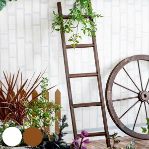 I[ig EbhE_[ i K[fjOG ͂ ؐ Ebh_[ 98×23cm | GNXeA G  K[fI[ig zC[  x_ K[fjO CeA f