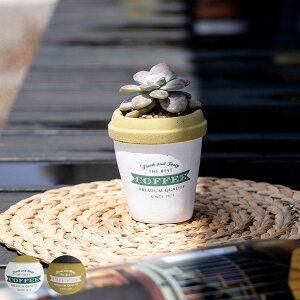 プランター アンポルテ フラワーポットA Sサイズ ( 植木鉢 プラントポット セメントポット 鉢 小 鉢植え セメント ポット 穴あり 水抜き穴 インテリア フラワーポット 植え替え おしゃれ 観