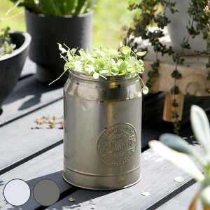 v^[ PCEW[JbvES ACA i Aؔ vg|bg Ap|bg ԕr Ԃт Ԋ Jo[ |bg  X^h u A  ϗtA A T{e | 