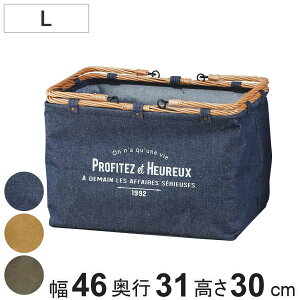 oXPbg E[[ L  i 46×s31×30cm JS B4TCY lp LoXn   ܂肽 [ [ [P[X [{bNX  n  rO 