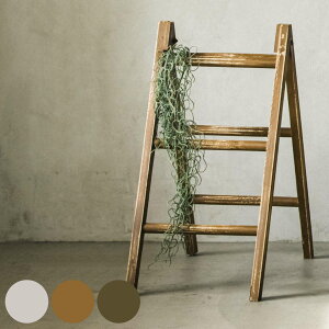 K[fjO tH Xebv_[ G i I[ig K[fjOG ͂ ؐ Ebh_[ | GNXeA  K[fI[ig  x_ CeA fBXv