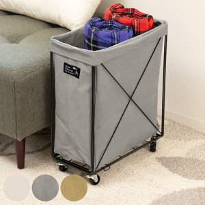 oXPbg Zv`F XJ[g LX^[t 22cm i 22×s42×51cm [{bNX h[bN וu rObN [  [ ΂u  