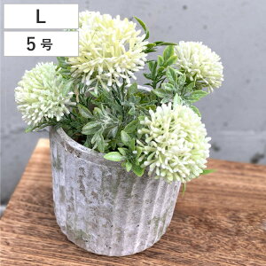 Aؔ XeB[N L 5 t[|bg i vg|bg v^[|bg  A Zg |bg   CeA Aւ  ϗtA A T{e |