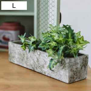 Aؔ XeB[N Ng|bg L 30cm i vg|bg v^[|bg  A Zg |bg  t[|bg  CeA Aւ  ϗtA A