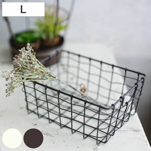  XEF XNGAoXPbg L 20×s15×9cm i  [ [ oXPbg C[oXPbg [^ X ACAoXPbg JS p^ C[ ACA [oX