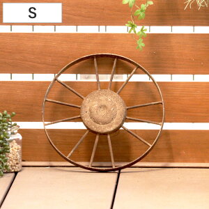 K[fI[ig BeB[ zC[ S i K[fjOG ԗ ACA ACAzC[ a25cm | GNXeA G   x_ K[fjO CeA fBXv