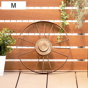 K[fI[ig BeB[ zC[ M i K[fjOG ԗ ACA ACAzC[ a40cm | GNXeA G   x_ K[fjO CeA fBXv