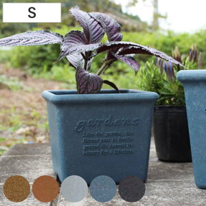 Aؔ GR|bgp^ ؕ 12cm i v^[ vg|bg Ap|bg Ԋ Jo[ |bg vX`bN lp p^ XNGA AؔJo[ v ؕ A[u VRf G