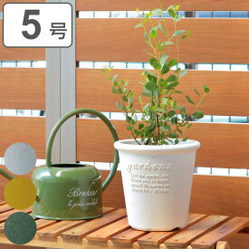 植木鉢 エコポット丸型 5号 古紙入 （ プランター プラントポット 植物用ポット 花器 鉢カバー ポット プラスチック 5号鉢 丸 植木鉢カバー プラ鉢 古紙 パピエ 天然素材 エコポット 観葉植物 花 多肉植物 底穴あり 軽量 ）