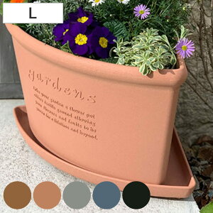 󂯎M R[i[GRv[g ؕ 36.5×s26.8cm i M M v[g 󂯎M 󂯎M  vX`bN R[i[ t R[i[|bg p v p ^ GR|bg M 