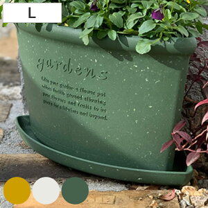 󂯎M R[i[GRv[g Î 36.5×s26.8cm i M M v[g 󂯎M 󂯎M  vX`bN R[i[ t VRf R[i[|bg p v p ^ GR