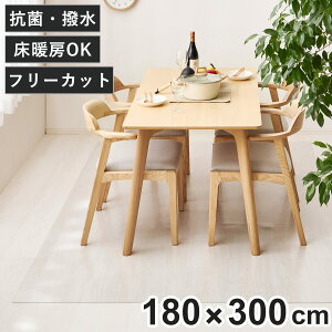 �N���A�}�b�g 180x300 �N���A�_�C�j���O���O �����}�b�g �i �}�b�g �t���A�}�b�g ���� �N���A �t���[�����O�}�b�g �N���A�V�[�g ���ی�}�b�g �R�ی��� �Y���ɂ��� ���g�Ή� �t���[�����O �t